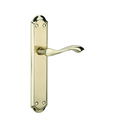 Juego Manilla Placa Hierro Latón Pulido Mod.3 | EspacioBrico OFERTA